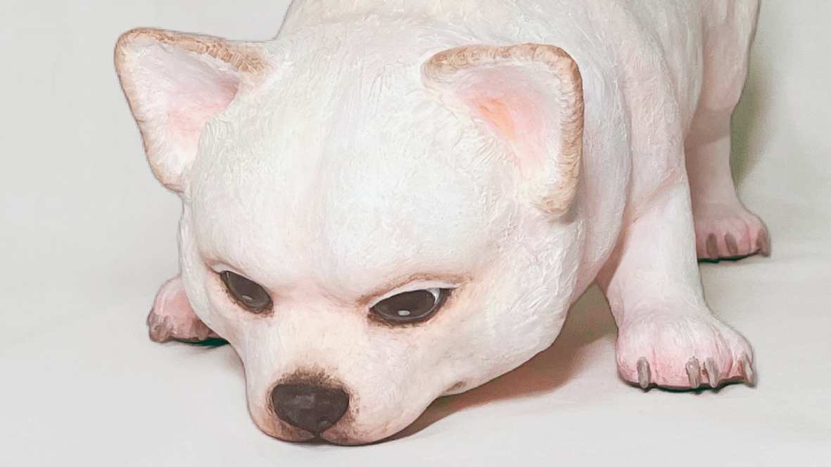 かわいいところ