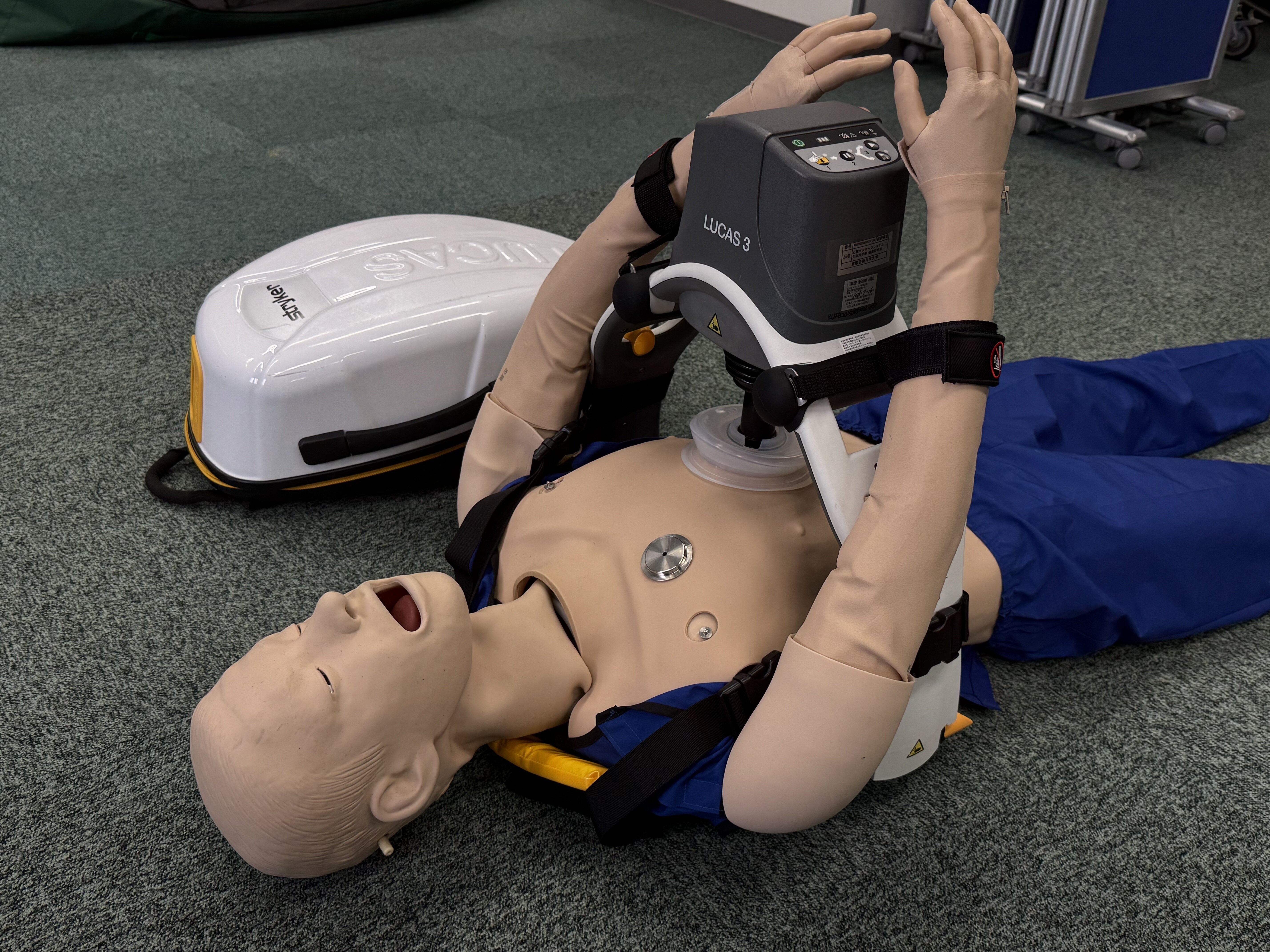 IMG_3750 - Matsumura(sci) Takanori.jpeg