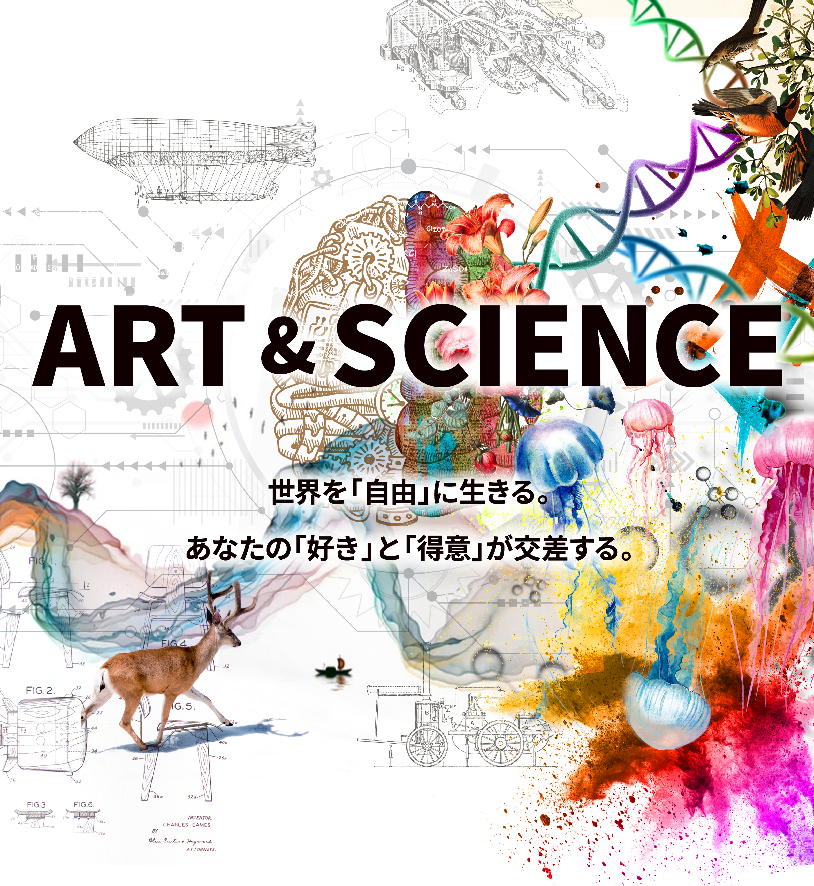 アート&サイエンス 世界を「自由」に生きる。あなたの「好き」と「得意」が交差する。