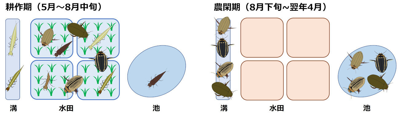 グラフィカルアブスト_resize.jpg