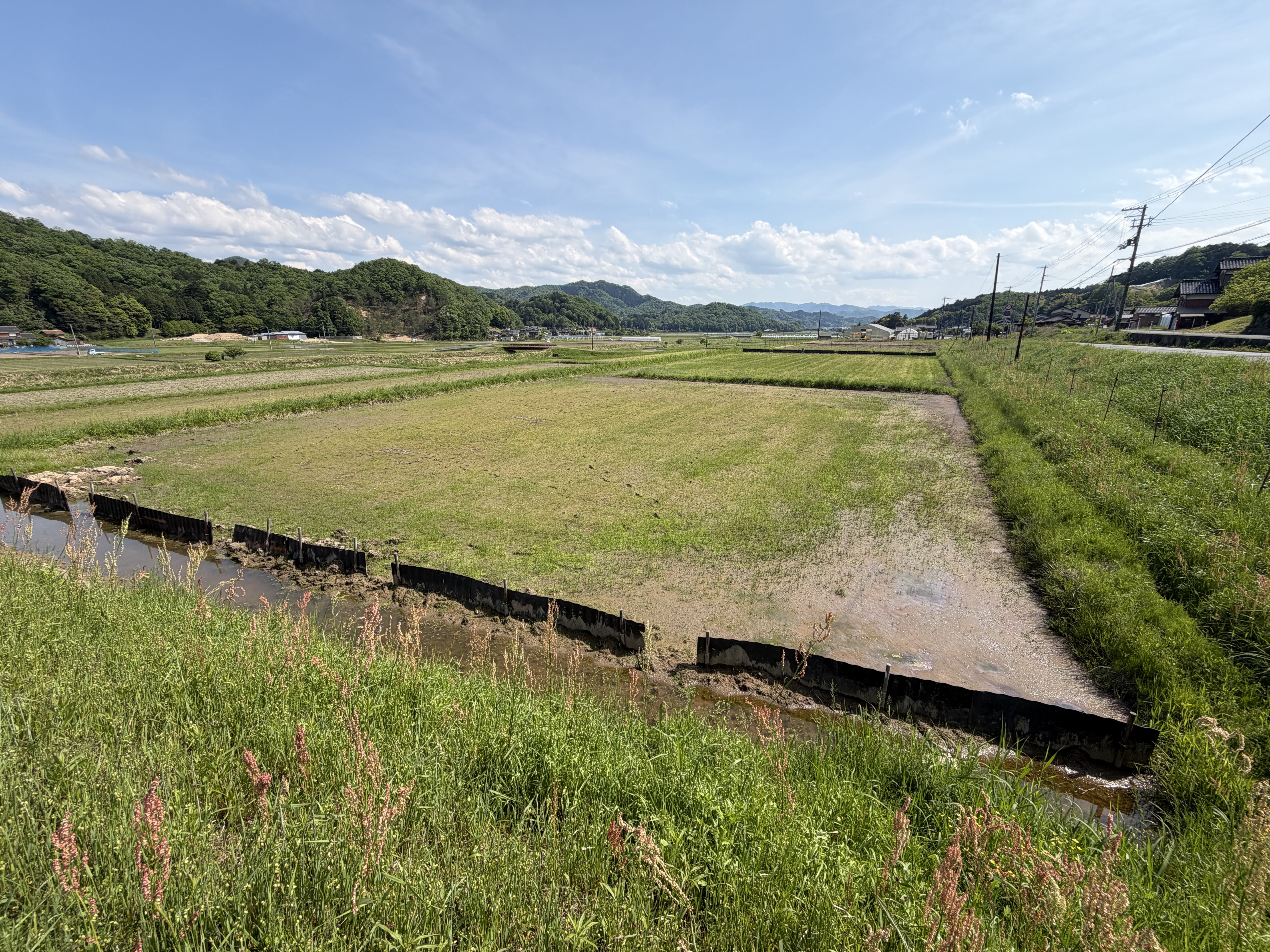 【受賞報告】渡辺黎也助教が応用生態工学会で最優秀口頭発表賞を受賞