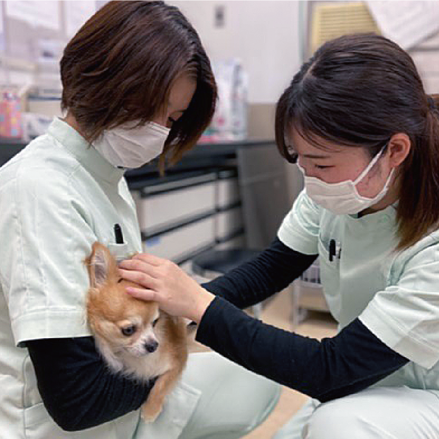 適正飼養指導論