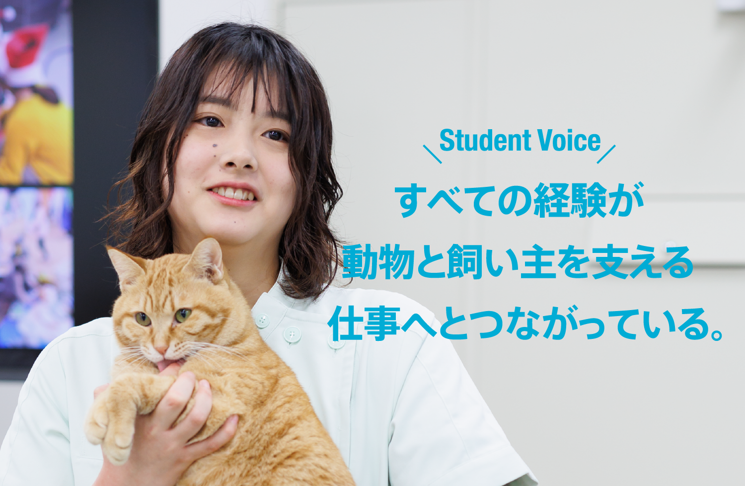 すべての経験が動物と飼い主を支える仕事へとつながっている。