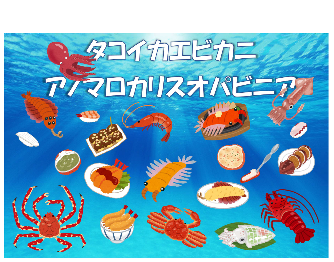 イカタコエビカニアノマロカリスオパビニア（2026.4.20-）
