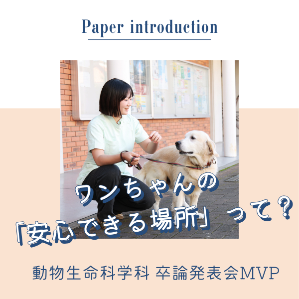 【卒論MVP受賞!】ワンちゃんの「安心できる場所」を提供しよう。ワンちゃんとのより良い暮らしに貢献するプロジェクト!| 動物生命科学科