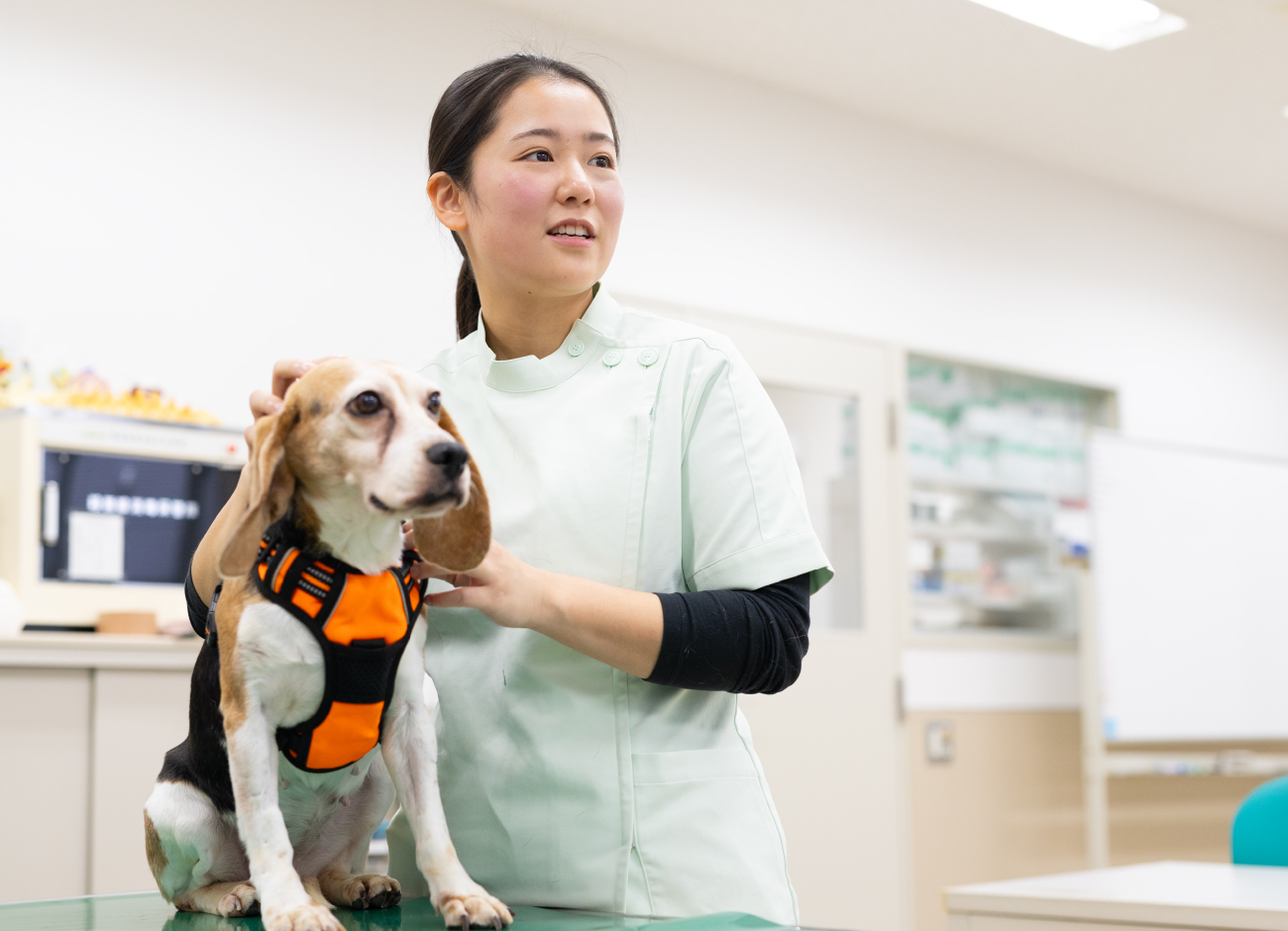 動物生命学科のイメージ画像