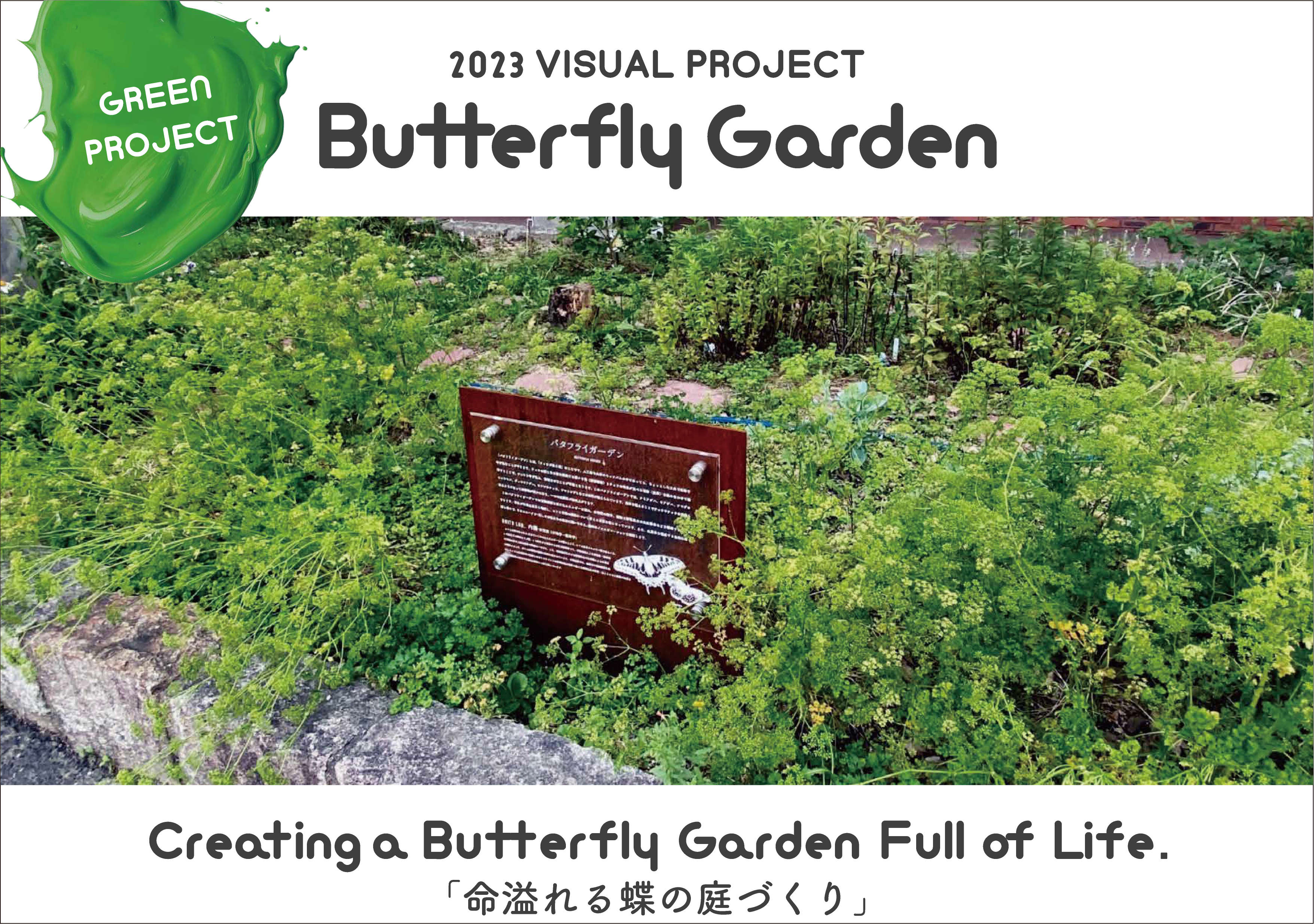 Creating a Butterfly Garden Full of Life.「命溢れる蝶の庭づくり」